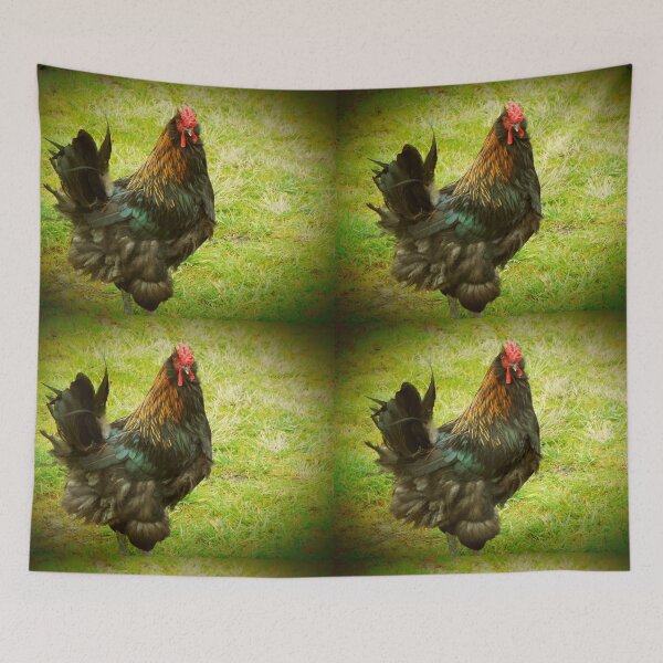 Item preview, cock designed and sold by hosand.