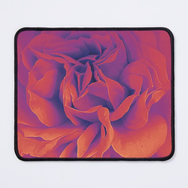 Item preview, Vivid orange and purple rose designed and sold by Steph-draws.