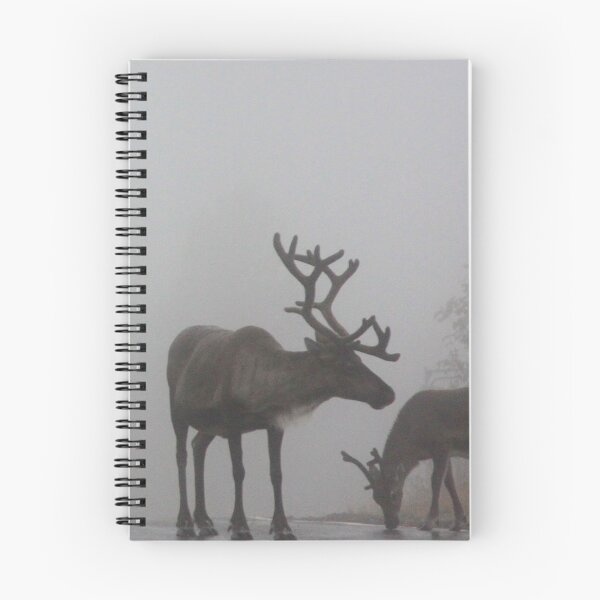 Item preview, Scottish Reindeer in the Mist designed and sold by beavo.