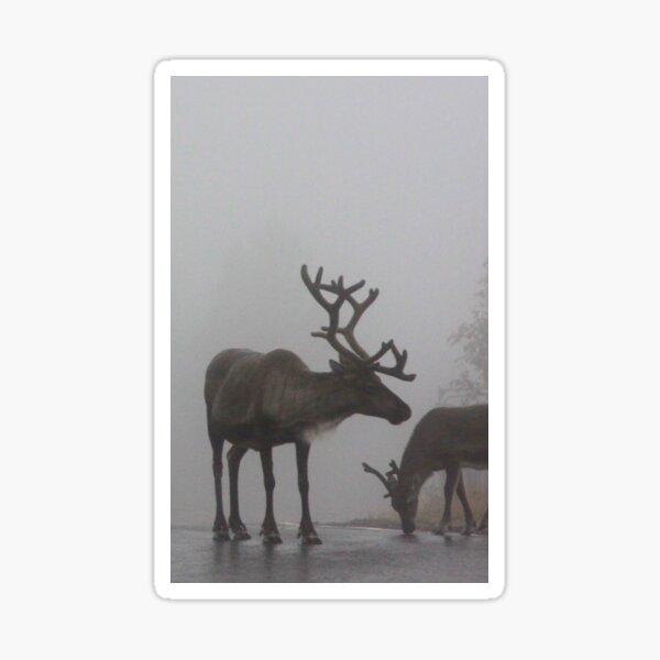 Item preview, Scottish Reindeer in the Mist designed and sold by beavo.