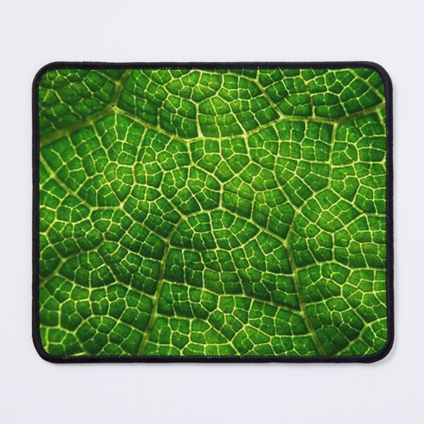Item preview, Green leaf close-up pattern photo backround chlorophyll designed and sold by Nostrathomas66.
