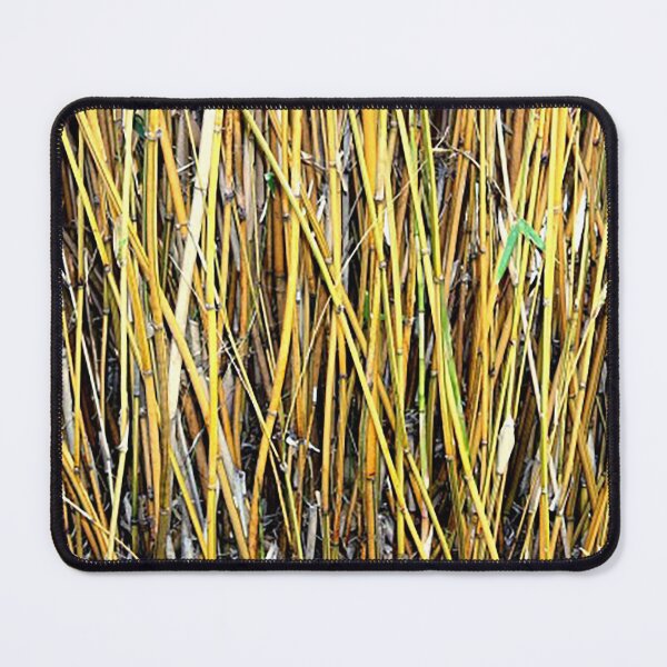 Item preview, Field of bamboo shoots pattern photo designed and sold by Nostrathomas66.
