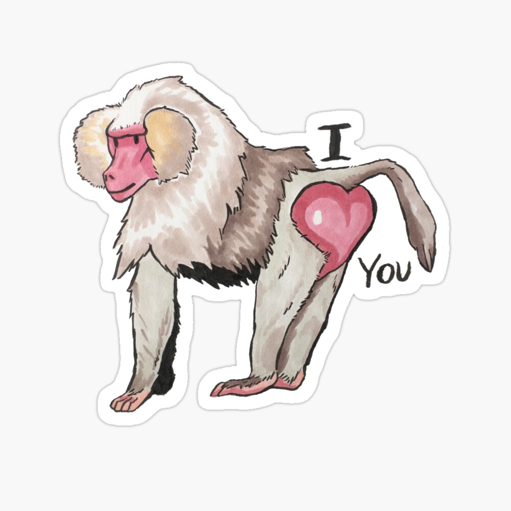 Baboon Butt Love