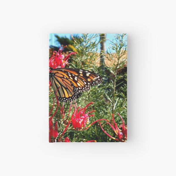 Monarch Butterfly Hardcover Journal