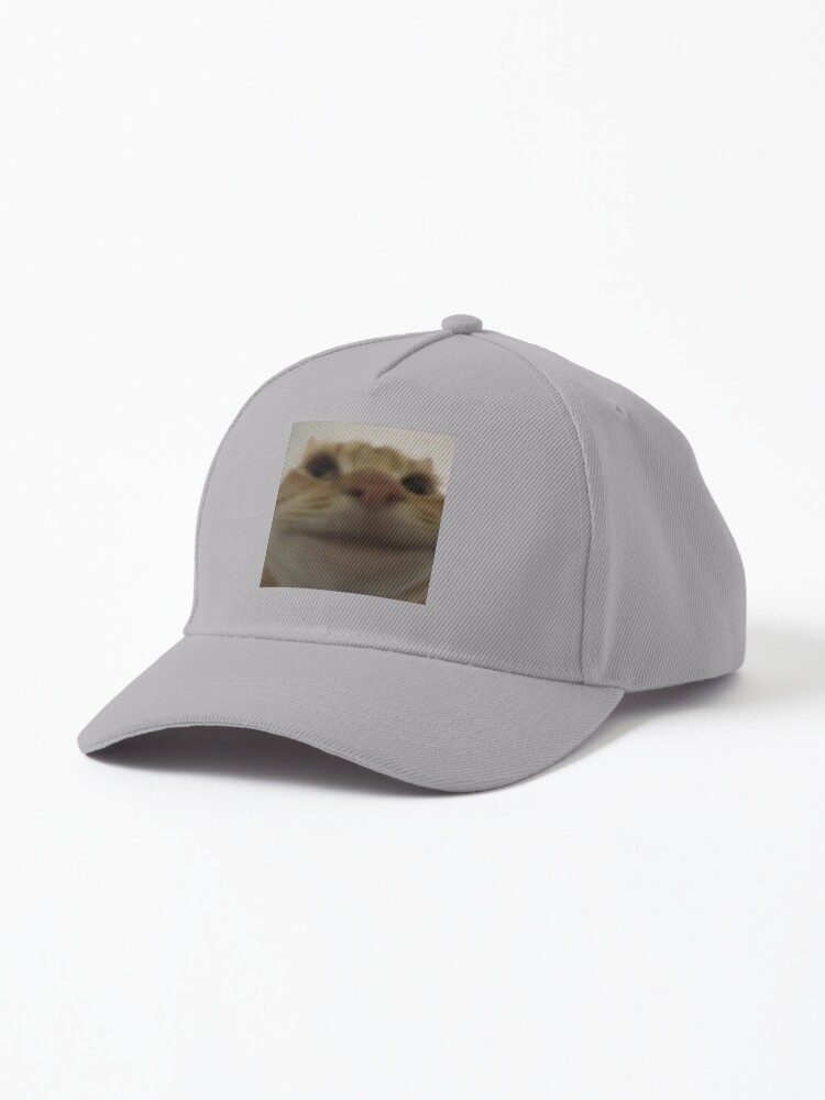 smiling orange swag cat