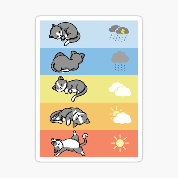 lustige Schlafende Wetter Katzen kuschel outfit Sticker