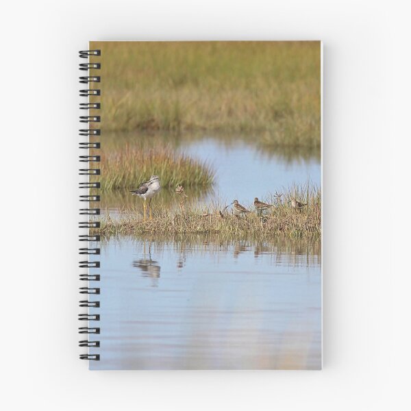 Item preview, Sandpipers designed and sold by Linda Crockett.