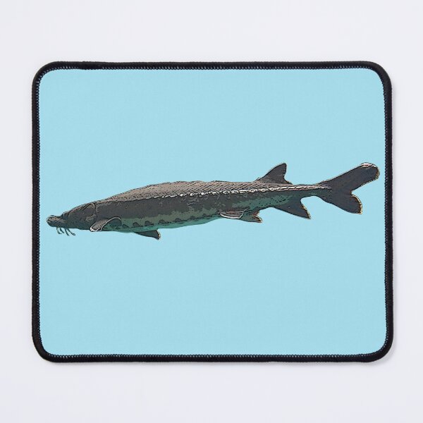 Item preview, Atlantic Sturgeon Color Design  designed and sold by designsasstultd.