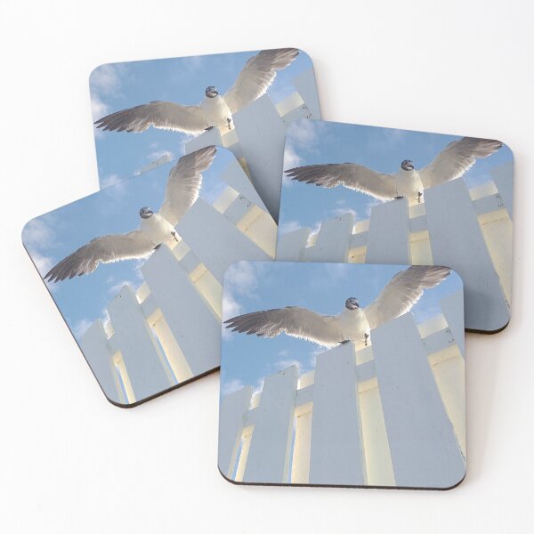 Item preview, Nassau Baha Seagull Enjoying The Sun designed and sold by SaSaBoutique.