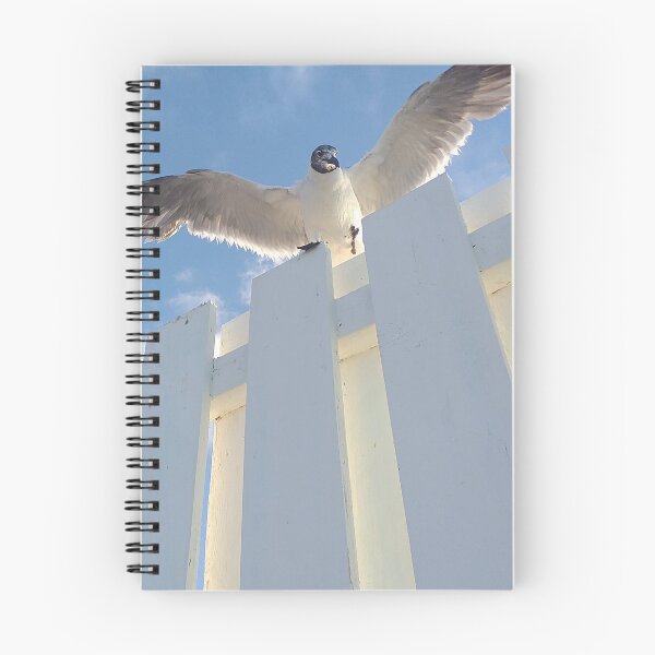 Item preview, Nassau Baha Seagull Enjoying The Sun designed and sold by SaSaBoutique.