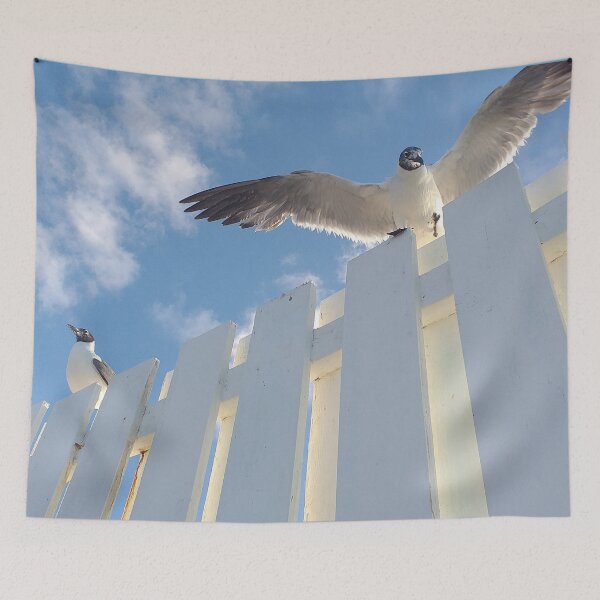 Item preview, Nassau Baha Seagull Enjoying The Sun designed and sold by SaSaBoutique.