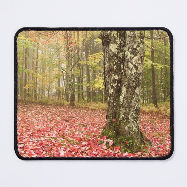Item preview, Foggy Fall Wonderland designed and sold by Autumn Seas Photography.