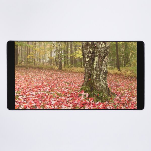 Item preview, Foggy Fall Wonderland designed and sold by Autumn Seas Photography.