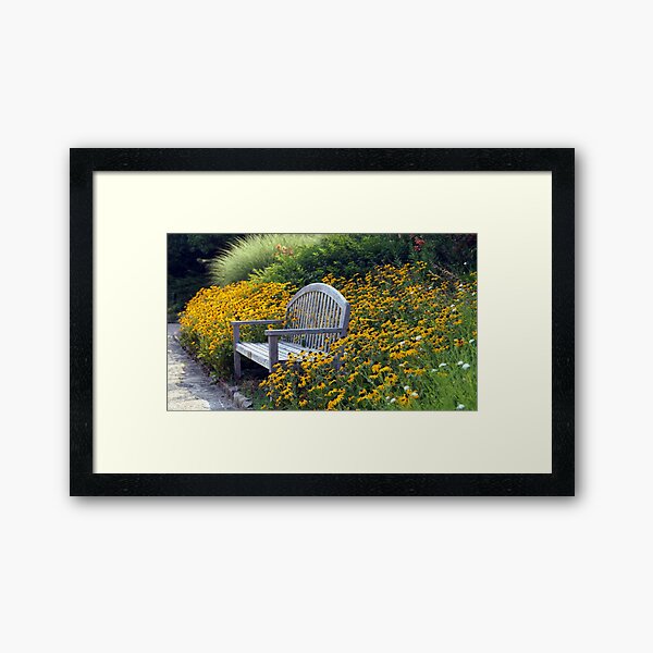Black-Eyed Suzy Bench. Photography by Paul John Hausleben Framed Art Print
