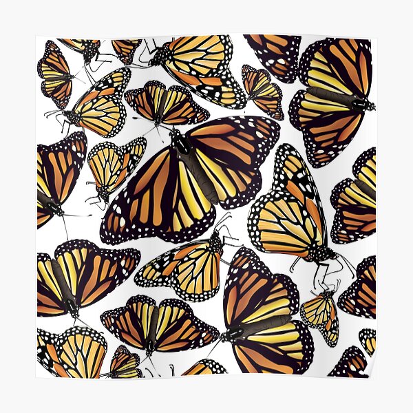 Monarch Butterflies Poster