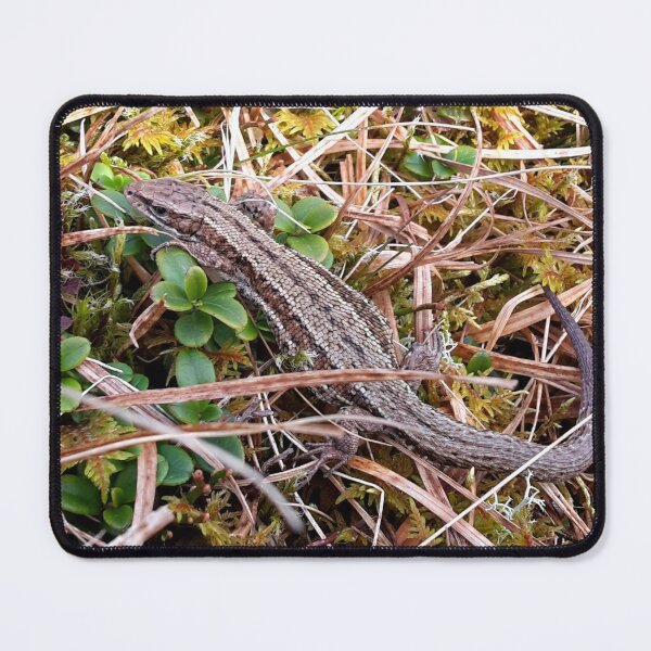 Item preview, Common Lizard designed and sold by beavo.