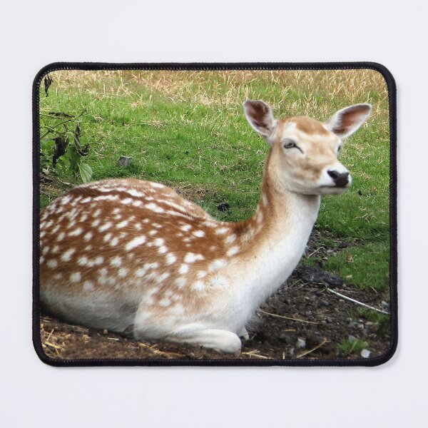 Item preview, Fallow Deer designed and sold by vette.