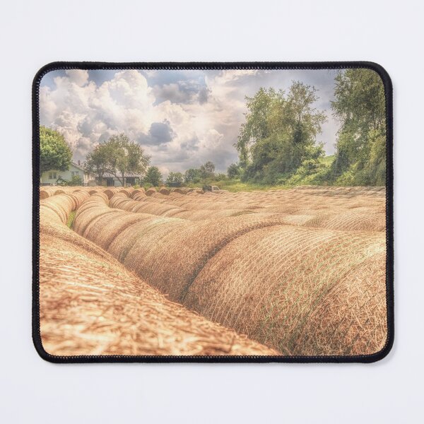 Item preview, Hey Hey HAY designed and sold by Jim Love.