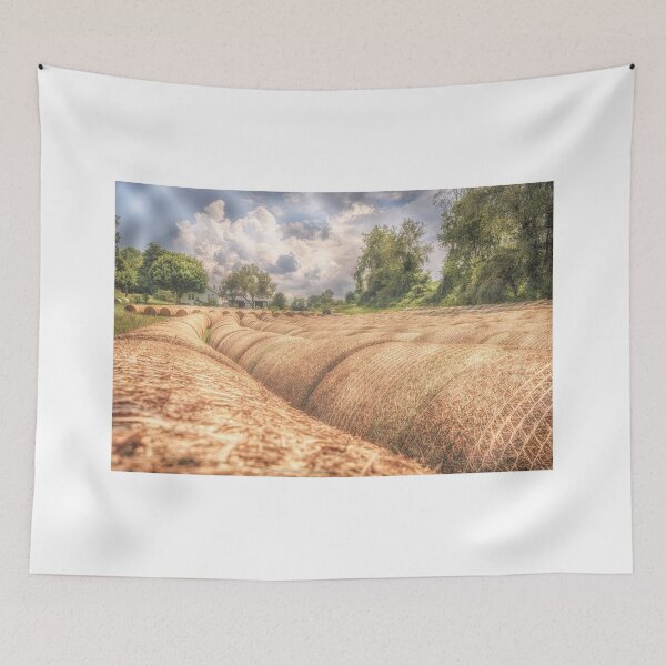 Item preview, Hey Hey HAY designed and sold by Jim Love.
