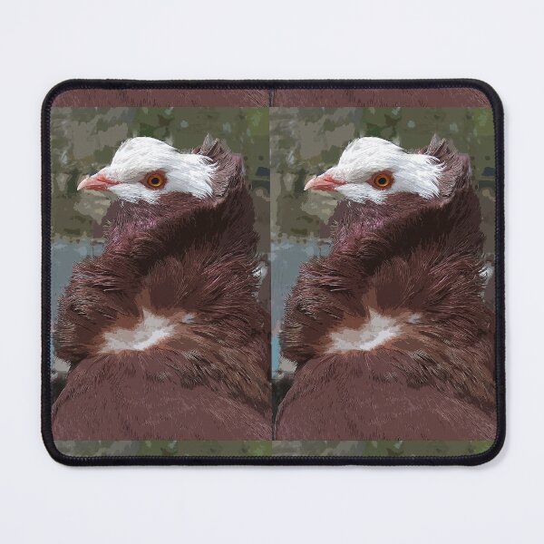 Item preview, r1370/ maj - The most beautiful Pigeon " out of the hairdresser " paint 07 by olao olavia / Okaio créations designed and sold by o.okaïo.