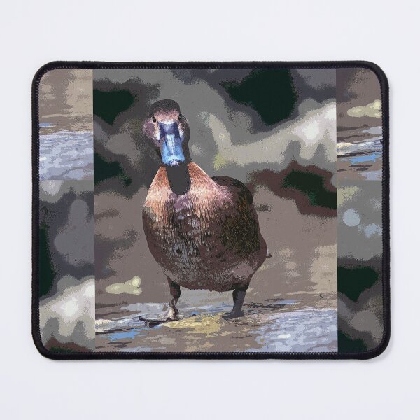 Item preview, r1363/  maj - Canards   01 paint - Peinture (c)(h) by Olao-Olavia / Okaio Créations designed and sold by o.okaïo.