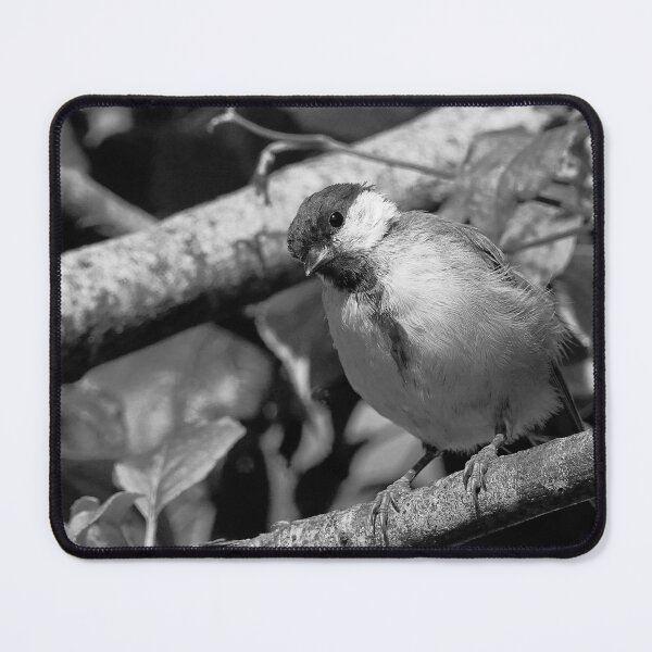 Item preview, Birds 01 (n&b)(t) by Olao-Olavia / Okaio Créations fz 1000 designed and sold by o.okaïo.