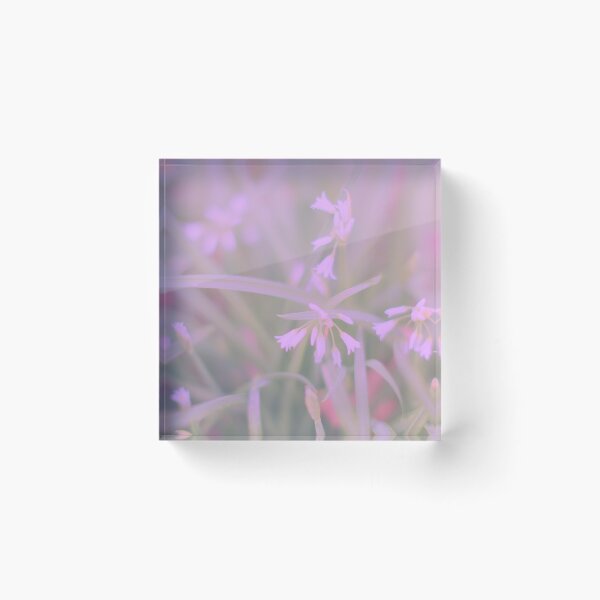Item preview, Tenderness designed and sold by Marianna Tankelevich.