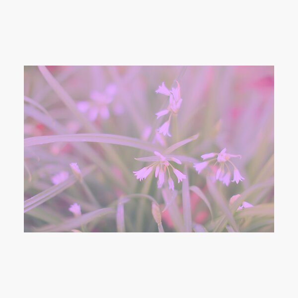 Item preview, Tenderness designed and sold by Marianna Tankelevich.