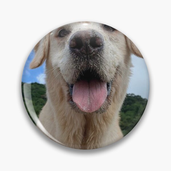 Item preview, Gran Golden Retriver con Mounth abierto designed and sold by Punc2All.