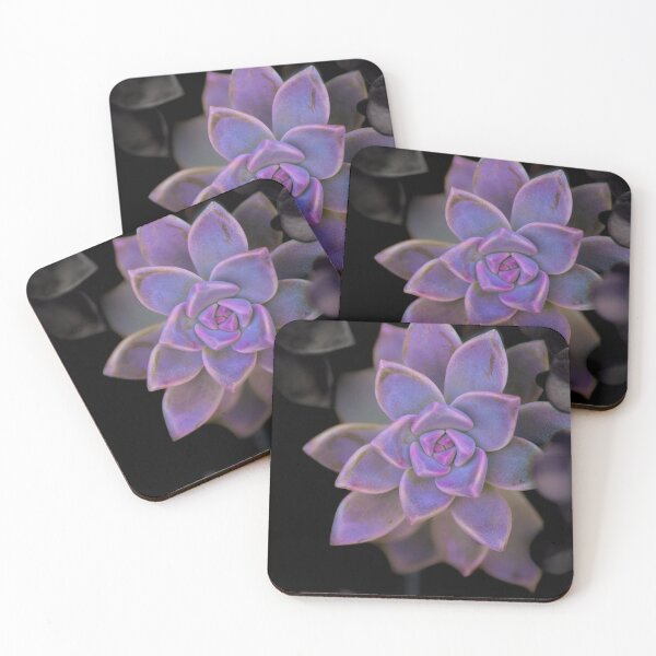 Item preview, Violet Succulent designed and sold by demaiosfocus.