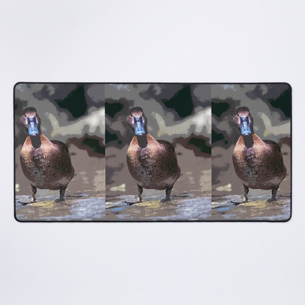 Item preview, r1363/  maj - Canards   01 paint - Peinture (c)(h) by Olao-Olavia / Okaio Créations designed and sold by o.okaïo.