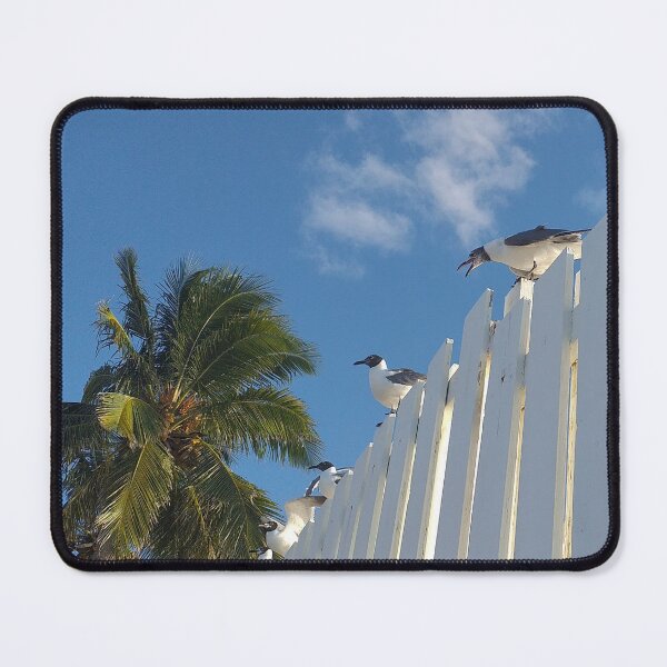 Item preview, Nassau Baha Seagull Partying The Sun designed and sold by SaSaBoutique.