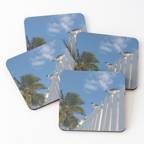 Item preview, Nassau Baha Seagull Partying The Sun designed and sold by SaSaBoutique.