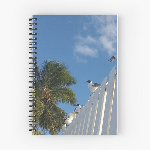 Item preview, Nassau Baha Seagull Partying The Sun designed and sold by SaSaBoutique.