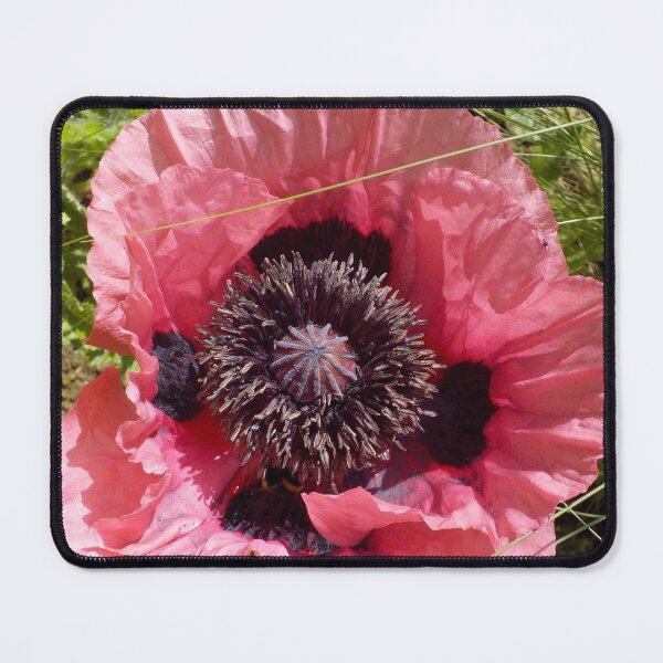Item preview, Pink Poppy Macro designed and sold by lezvee.