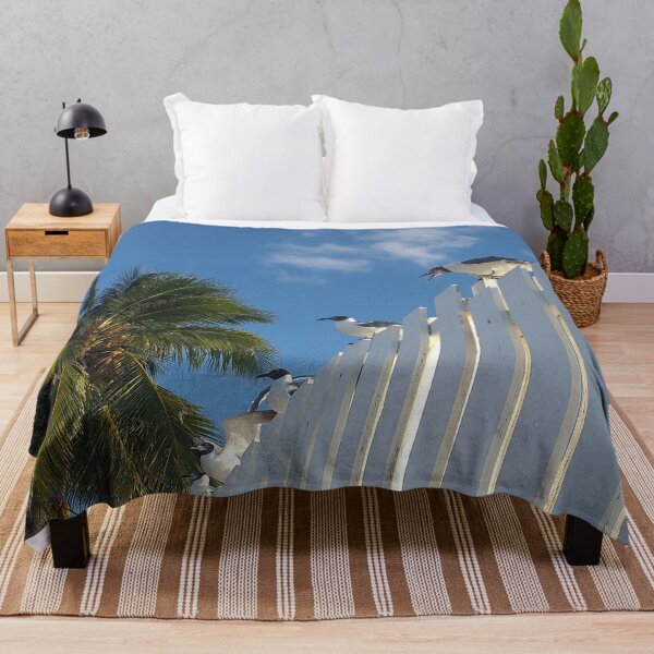 Item preview, Nassau Baha Seagull Partying The Sun designed and sold by SaSaBoutique.