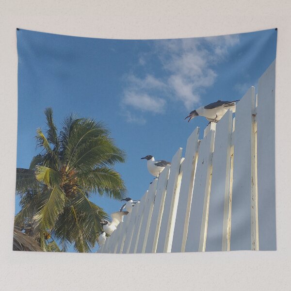 Item preview, Nassau Baha Seagull Partying The Sun designed and sold by SaSaBoutique.