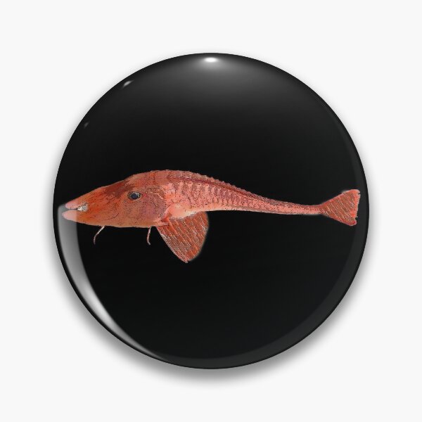 Item preview, Armored Sea Robin Color Design  designed and sold by designsasstultd.