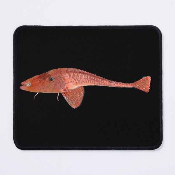 Item preview, Armored Sea Robin Color Design  designed and sold by designsasstultd.