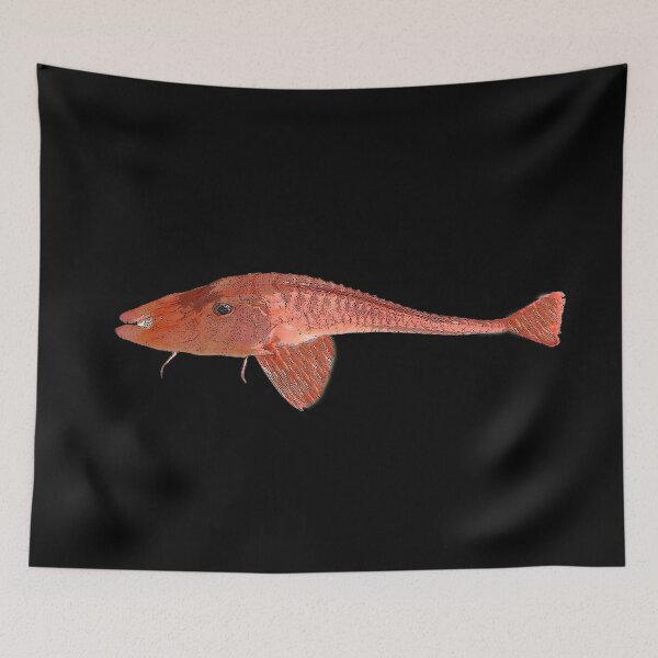Item preview, Armored Sea Robin Color Design  designed and sold by designsasstultd.