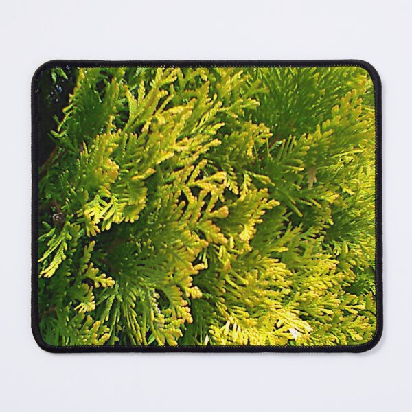 Item preview, Golden Arborvitae Leaves ~  designed and sold by Jeanine King.