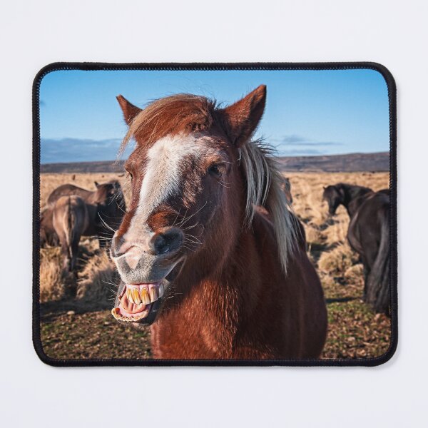 Item preview, Icelandic Horse Horsing Around in Iceland  designed and sold by Catherine Reading.