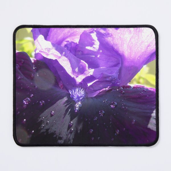 Item preview, Purple Violet designed and sold by Kashmere1646.