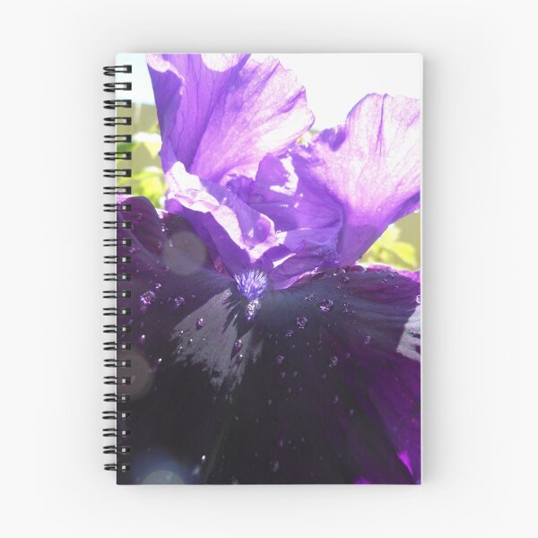 Item preview, Purple Violet designed and sold by Kashmere1646.