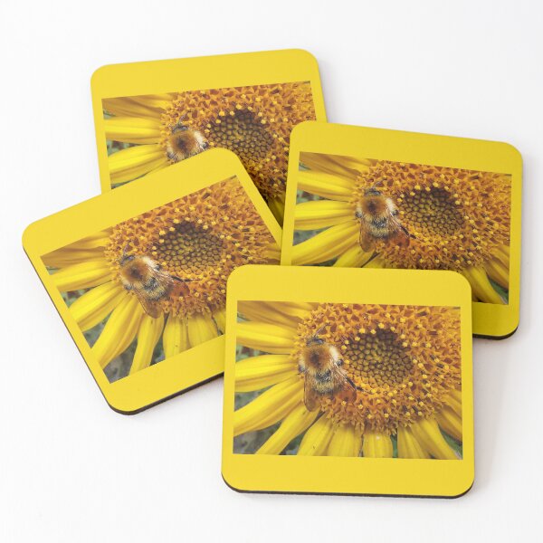 Bumblebee Sunflower Coasters (Set of 4)