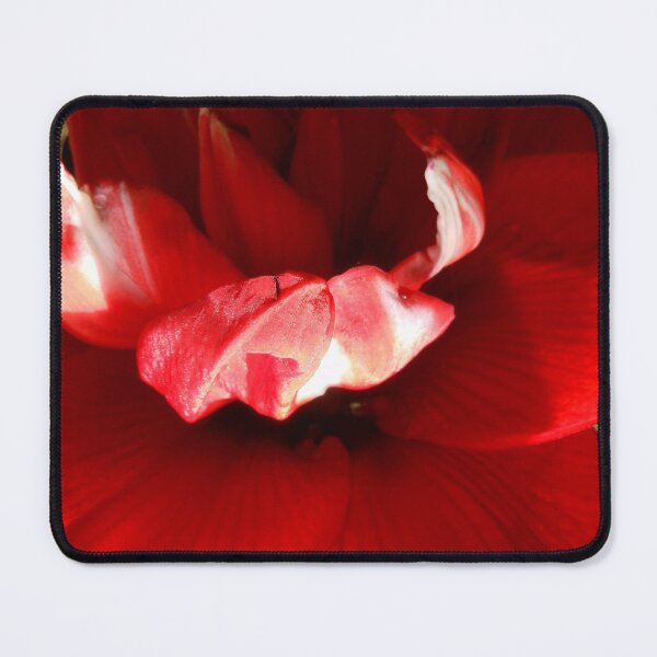 Item preview, Amaryllis designed and sold by Kashmere1646.