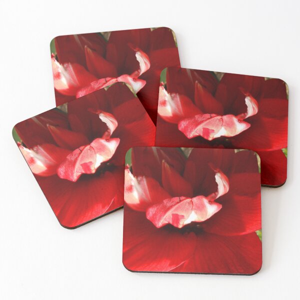 Item preview, Amaryllis designed and sold by Kashmere1646.