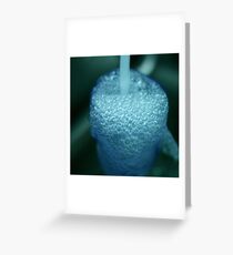 Water Greeting Card
