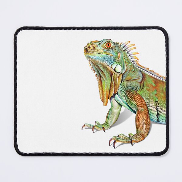 Item preview, Iguana Portrait designed and sold by Salmoneggs.