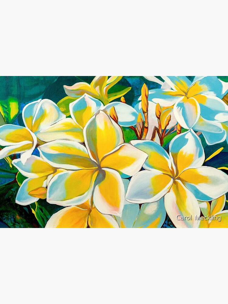 Plumeria by carolmeckling